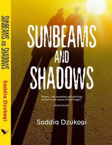 Sunbeams and Shadows
