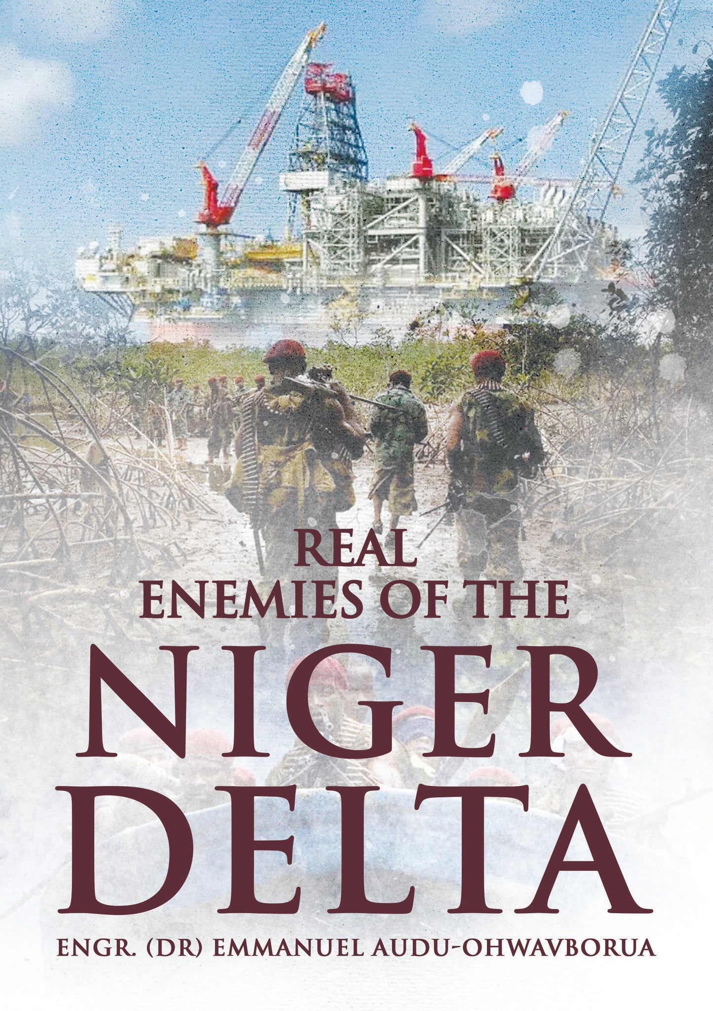 The Real Enemies of The Niger Delta